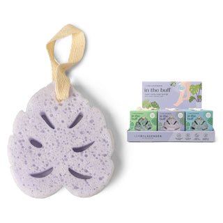 In The Buff Super Sudsy Soap Sponge- Accessories,accessory,bath,BATH SET,GIFT,gifts,hair accessory,SPONGE,spongelle,SPONGELLE BODY BUFFER,SPONGELLE PEDI POP-Ace of Grace Women's Boutique